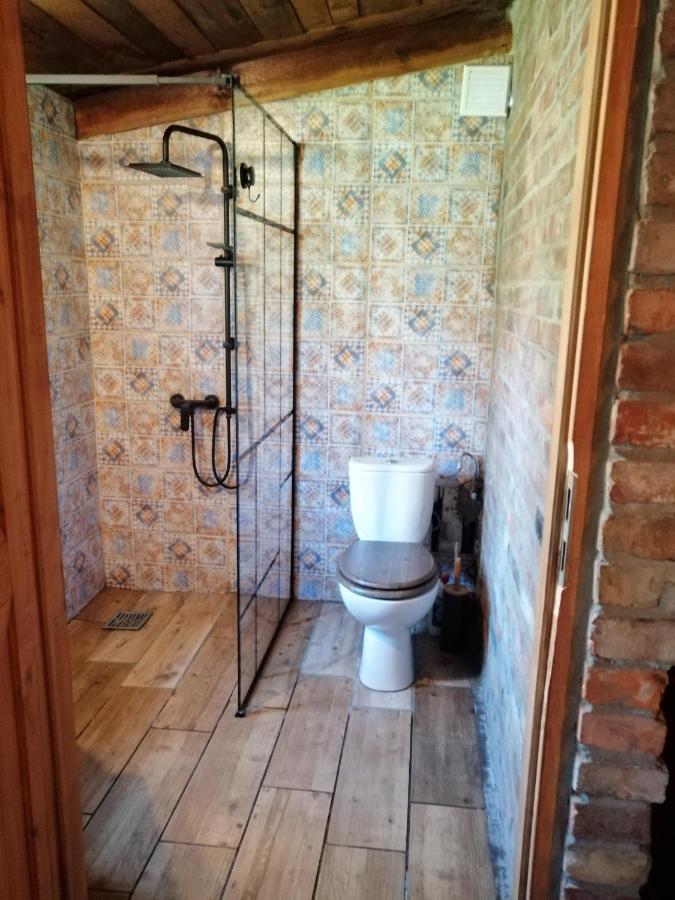 Agroturystyka Pod Dobrymi Skrzydlami Wiski Luaran gambar