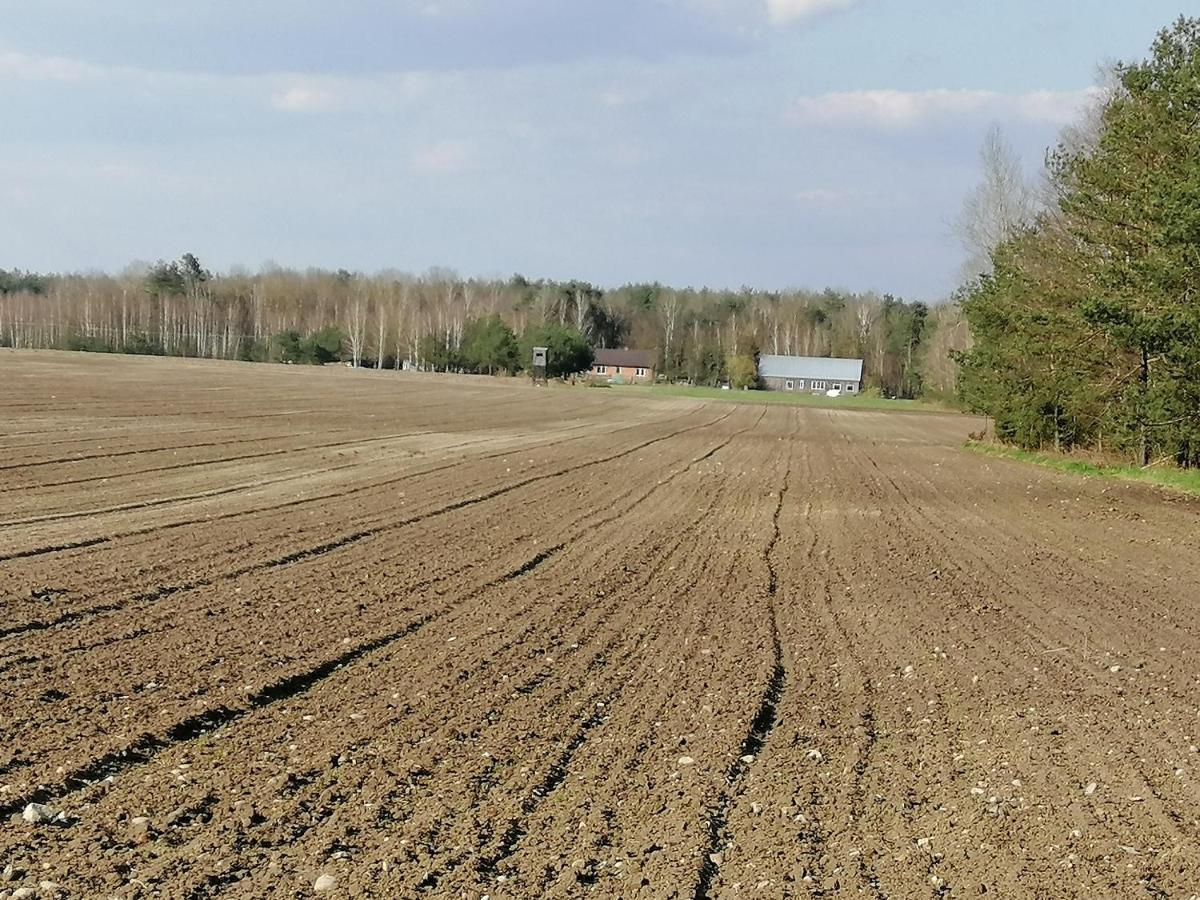 Agroturystyka Pod Dobrymi Skrzydlami Wiski Luaran gambar