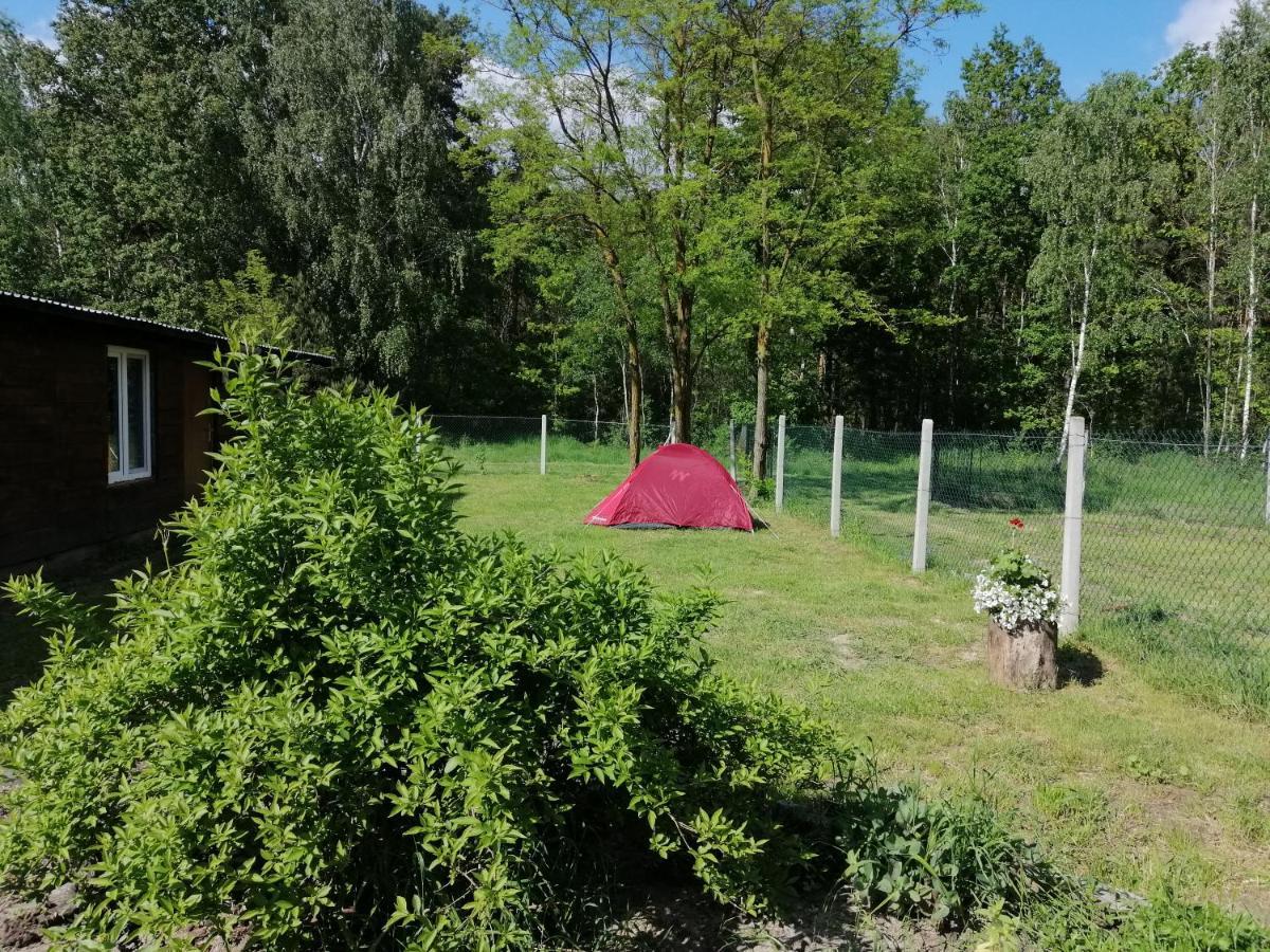 Agroturystyka Pod Dobrymi Skrzydlami Wiski Luaran gambar