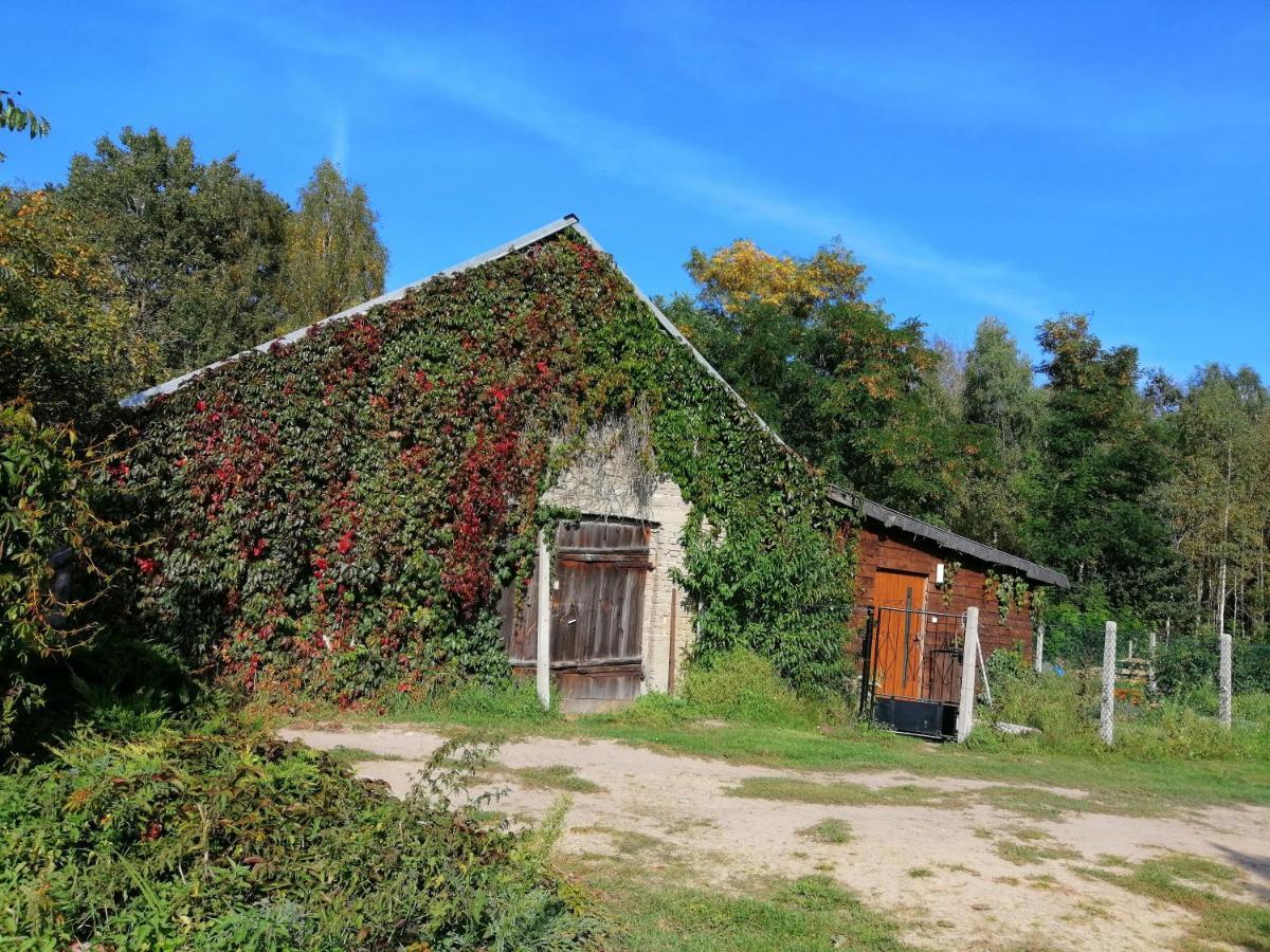 Agroturystyka Pod Dobrymi Skrzydlami Wiski Luaran gambar